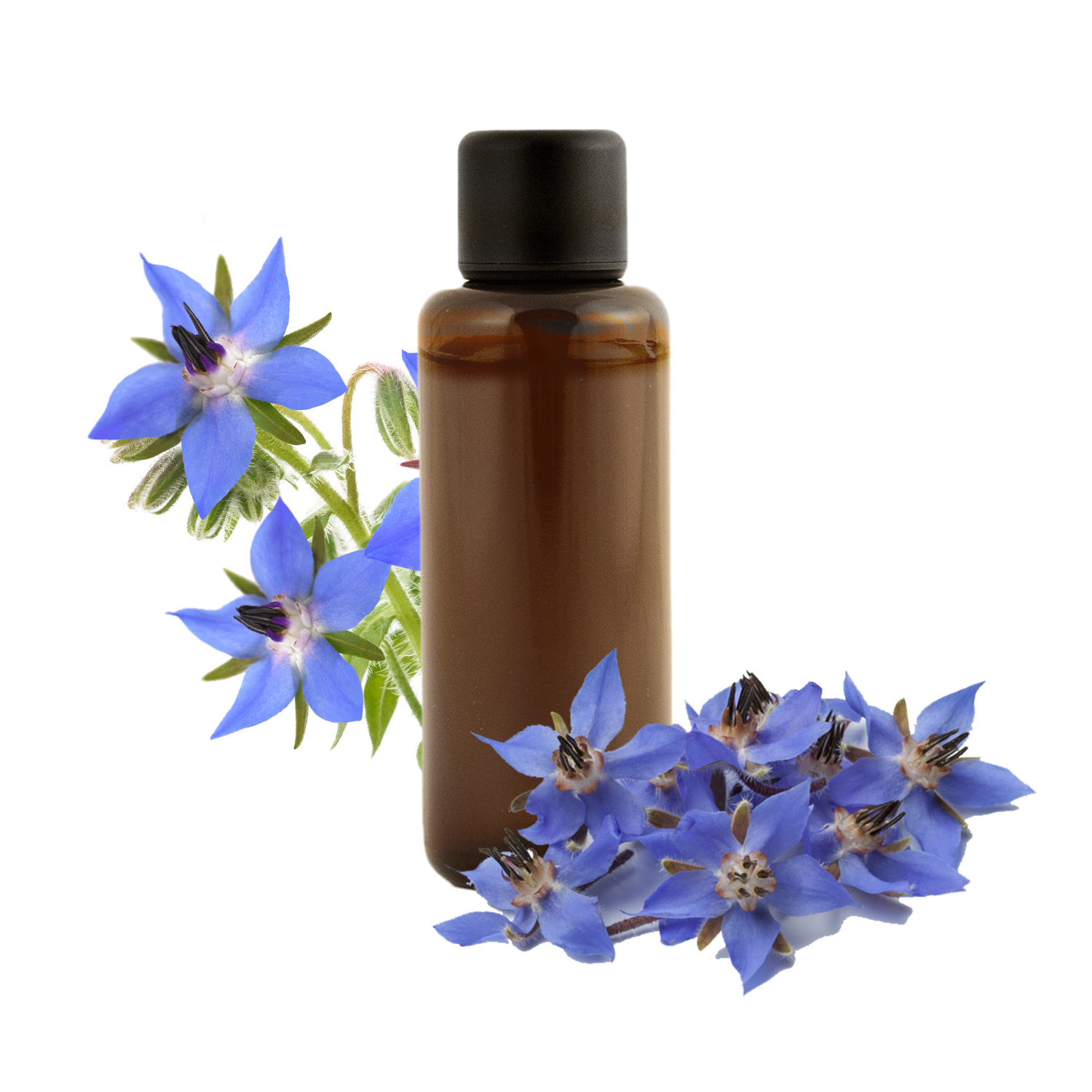 Borage oil