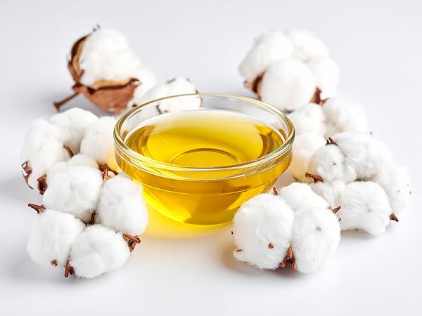 Cotton seed oil